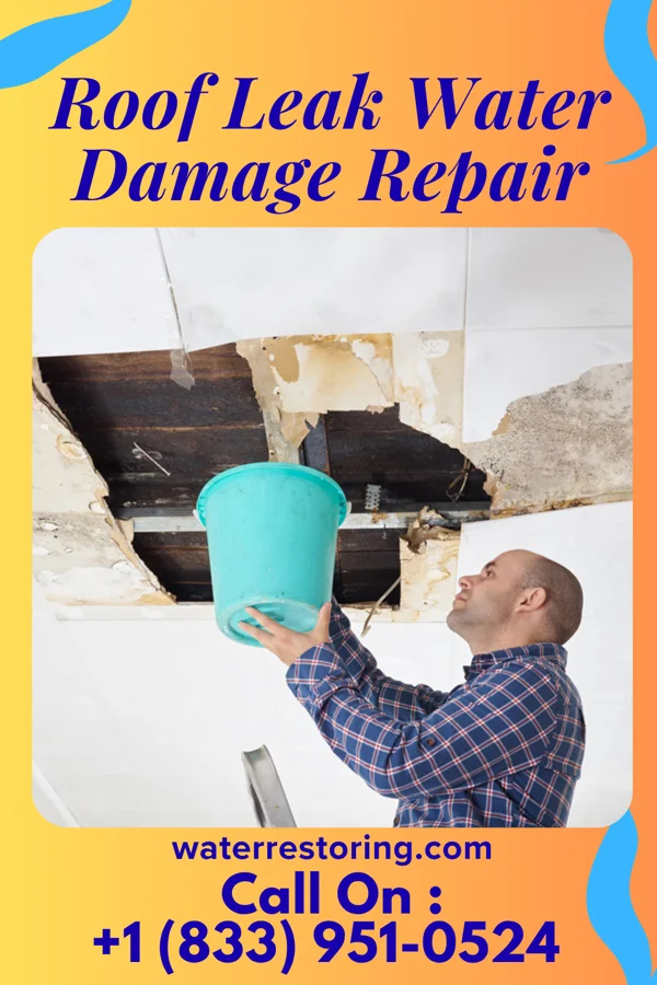 Roof Leak Water Damage Repair in Mossyrock, WA